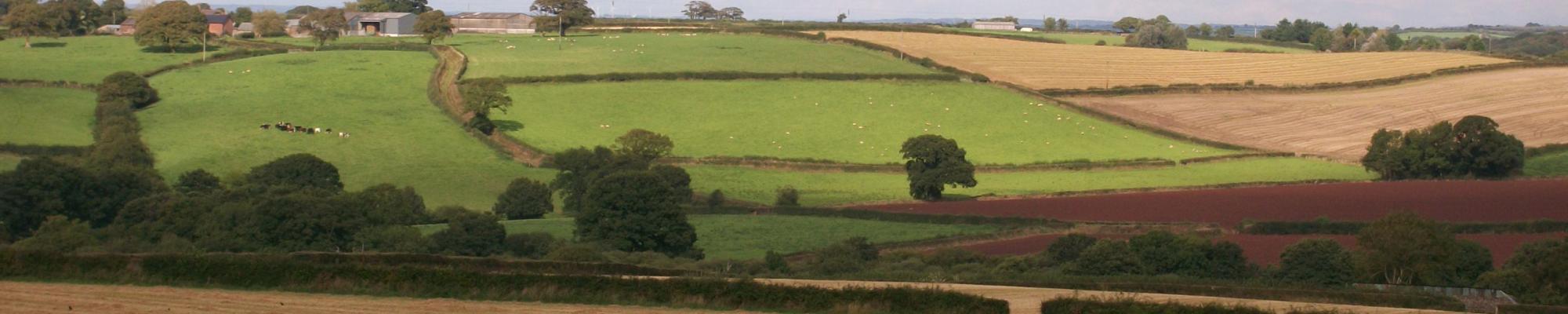 Devon farmland