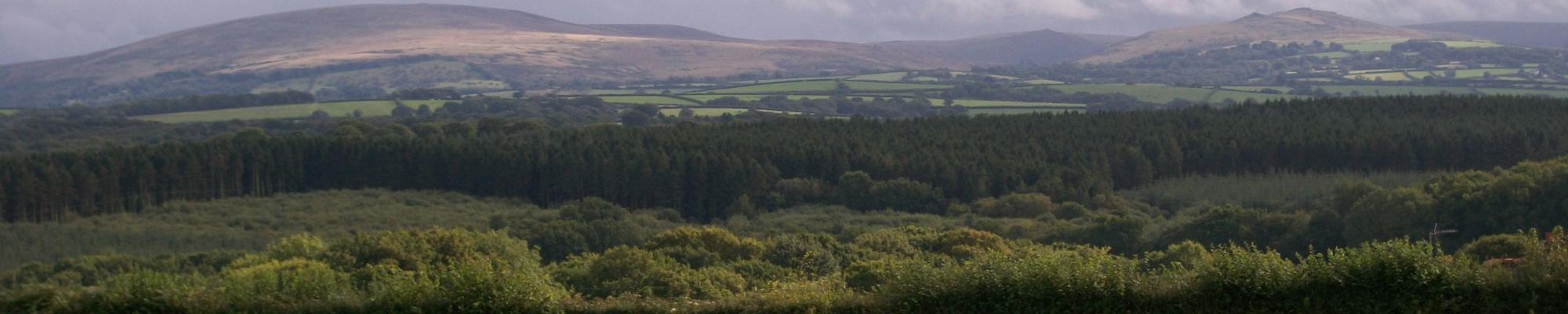 View to Dartmoor