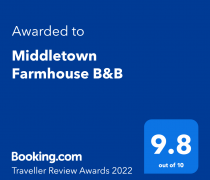 Booking.com Traveller Award 2022